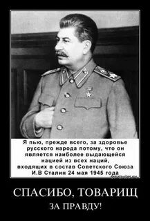 Товарищ правда