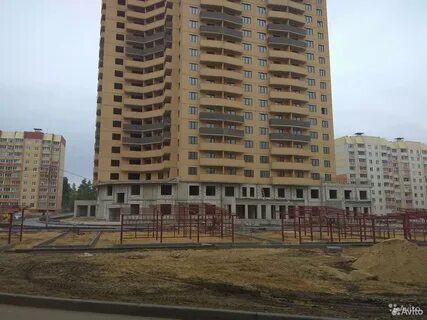 Воронеж 9 января 233