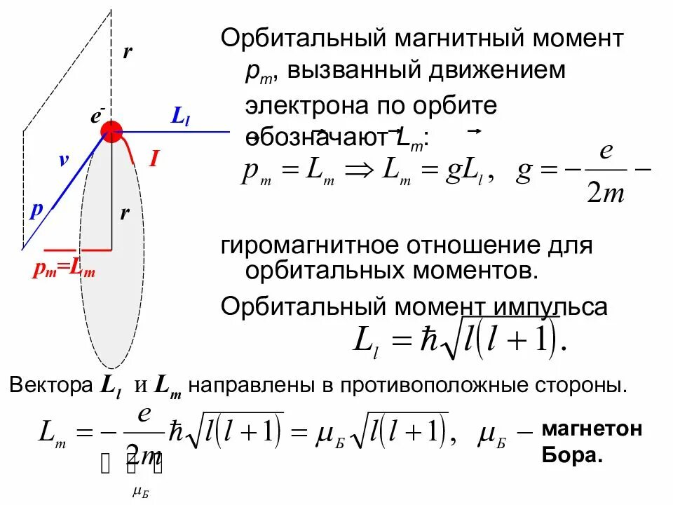 Модуль магнитного момента электрона. Магнитный момент импульса электрона магнетон бора. гиромагнитное отношение и магнетон бора. гиромагнитное отношение магнитный момент. орбитальный магнитный момент электрона.