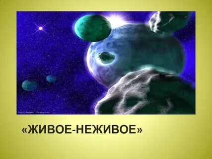 Живая и неживая материя