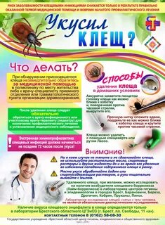 Профилактика боррелиоза после укуса