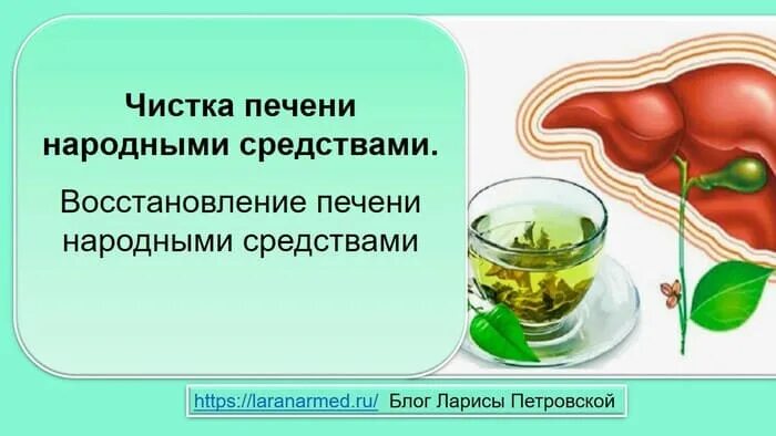 Народные средства восстанавливающие печень. Восстановление печени. Чистка и восстановление печени. Метод очищения печени. Восстановление функций печени.