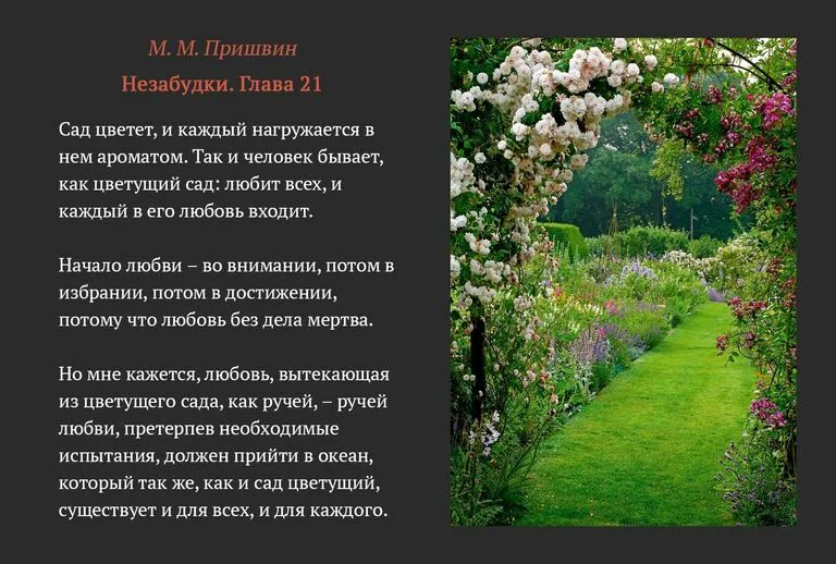Пришвин незабудки. Пришвин сборник рассказов незабудки. Миниатюры пришвина незабудки. Рассказ о незабудке. Незабудки импрессионизм.