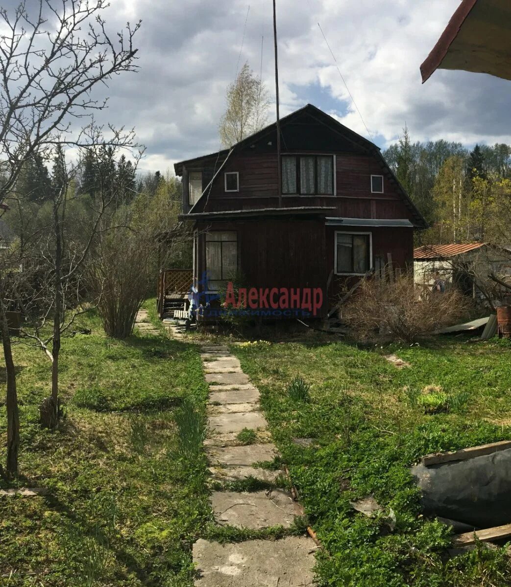 Заводская 17 усть славянка. Дача на мшинской. Фото депутатов в лен обл деревне дивенка. Река дивенка. Малая дивенка ленинградская область.