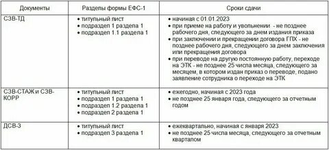 Ефс за 3 квартал 2024 срок сдачи