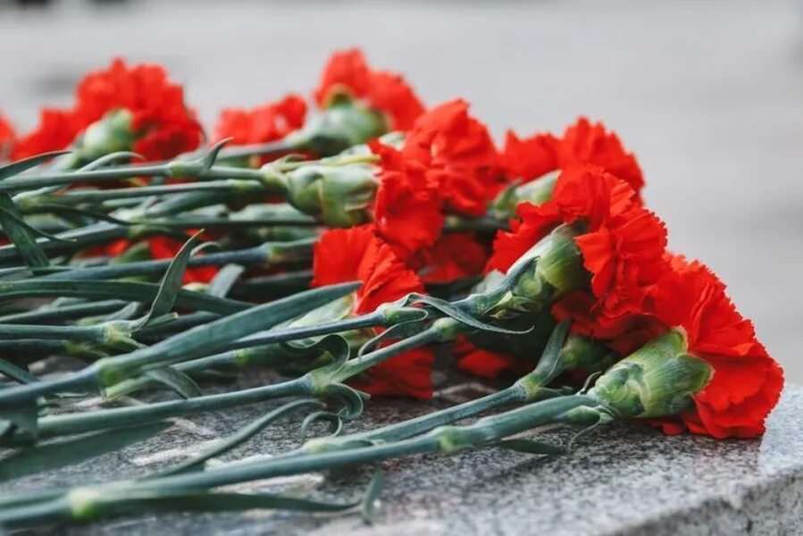 15 февраля женщина. 15 февраля женщина. 14 февраля день одиноких. 15 февраля день памяти. 15 февраля женщина.