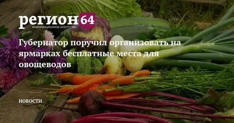 Пришло время собирать ранние овощи