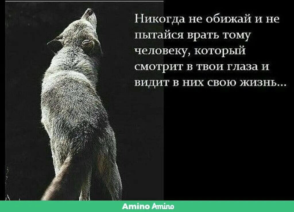 Почему друг обиделся. Никогда не обижайте человека. Никогда не обижай человека. Никогда не обижайтесь. Обида картинки с надписями.