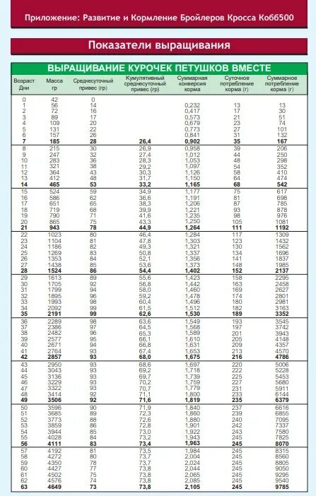 Таблица роста кобб 500 по дням. Таблица веса бройлеров Кобб 500. Нормы роста бройлеров Кобб 500. Таблица роста бройлеров Кобб 500. Весовая таблица бройлеров Кобб 500.