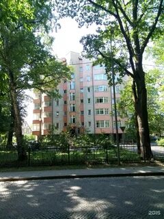Каштановая аллея калининград