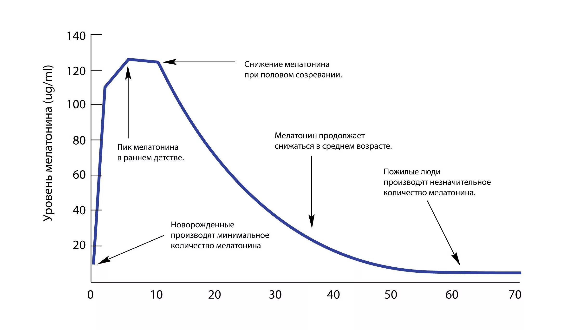 Мелатонин часы выработки гормона. Выработка мелатонина в зависимости от возраста. Суточный ритм секреции мелатонина. Изменение синтеза мелатонина с возрастом график.