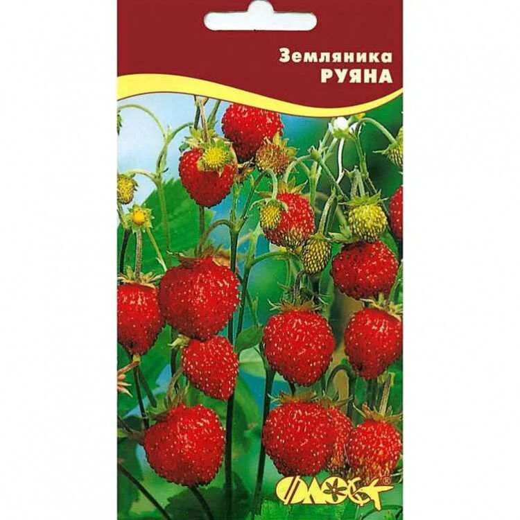 Земляника сорта семян. Земляника ремонтантная руяна. семена земляника ремонтантная руяна. семена земляника руяна. семена клубника &quot;руяна&quot;.