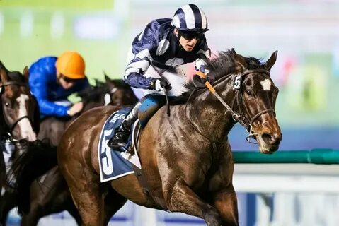 Dubai world cup
