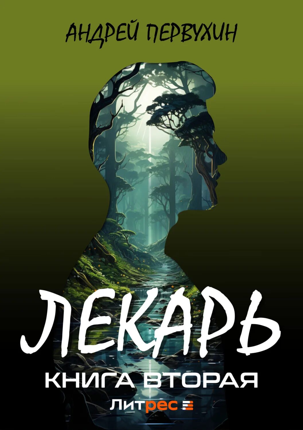 Лекарь фэнтези книга читать полностью. Лекарь книга. книга врачевателя. справочник целителя. целитель фэнтези.