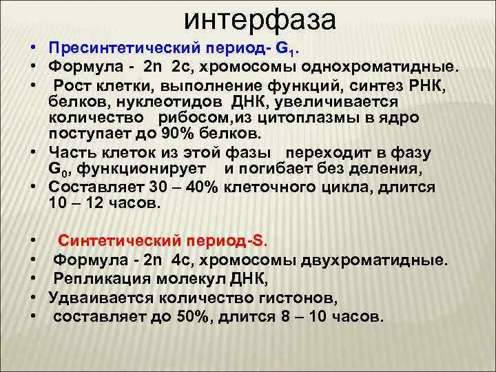 3 этапа интерфазы. Интерфаза пересентетический период. Пресинтетический период интерфазы g1. Интерфаза генетическая формула. Генетическая характеристика пресинтетического периода.