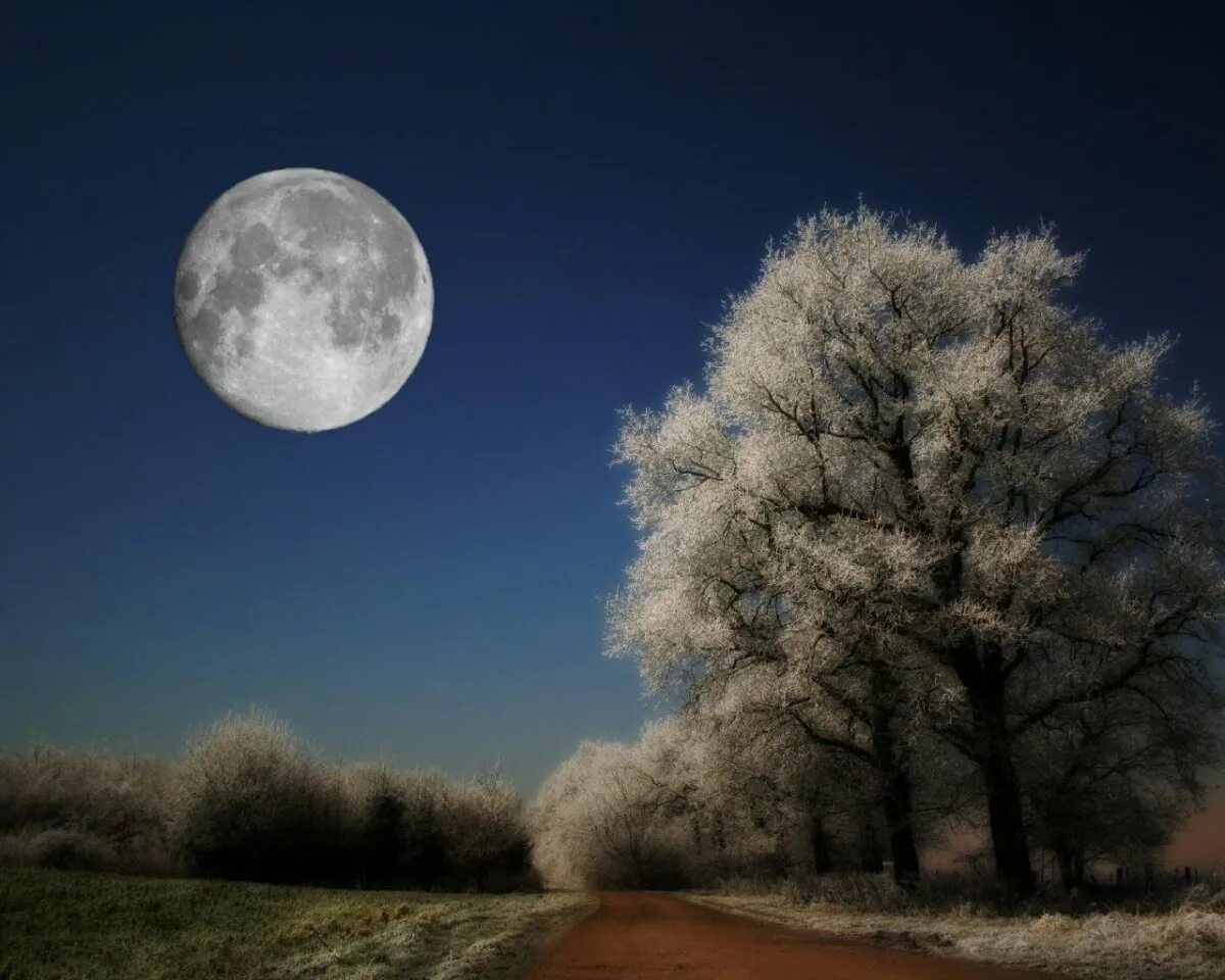 Полнолуние зима. Луна зимой. Зимняя луна. Зимняя ночь. Луна зимой.