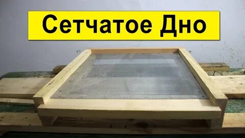 Сетчатые донья