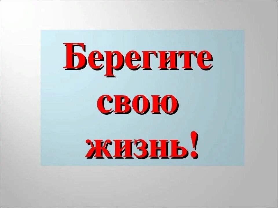 Беречь допустить