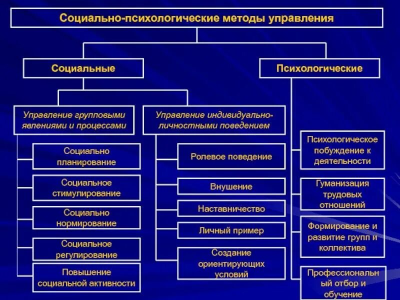 Субъективные числа