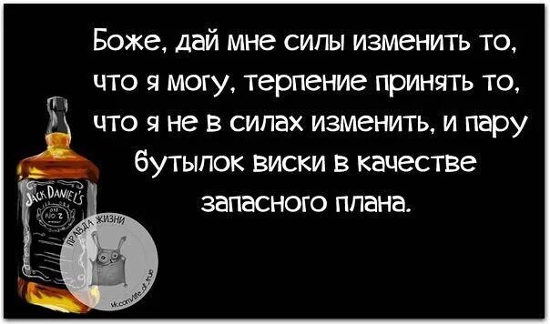 Боже дай мне терпения. Господи дай мне сил и терпения. И две бутылки вискаря в качестве запасного плана. Дай силы изменить то что я могу изменить.