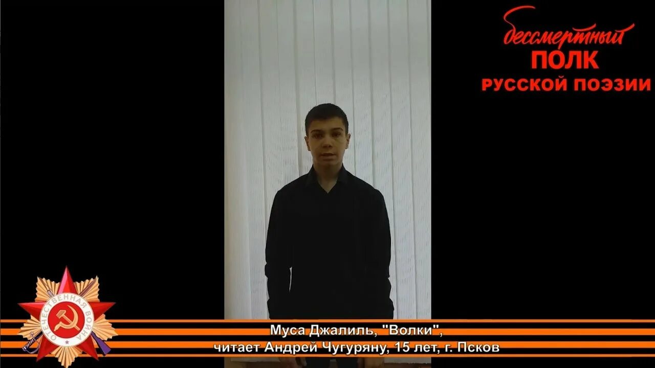 Стихи м джалиля. Стихотворение о вов муса джалиль. Муса джалиль герой советского союза. Муса джалиль волки стих. Волки муса джалиль стих.