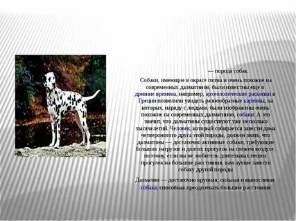 Простой кобель песня