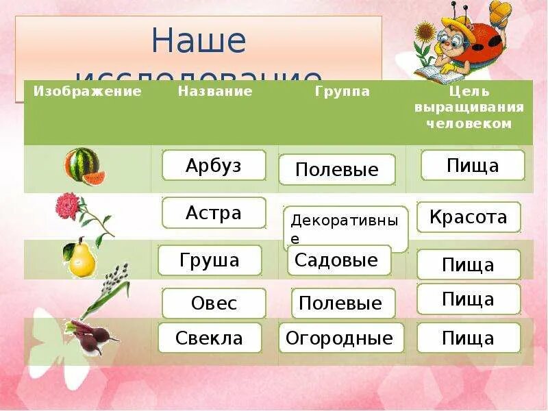 Выберите из списка культурные растения. Культурные растения. Культурные растения названия. Культурные растения используемые в производстве. Культурные растения презентация для игрового урока вопросы.