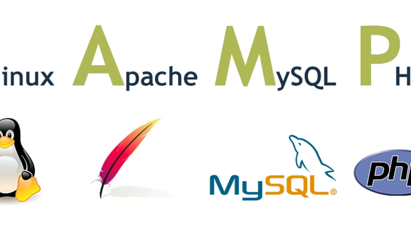 Lamp server. Веб сервер lamp. linux apache mysql php. lamp linux. логотип linux apache mysql php.