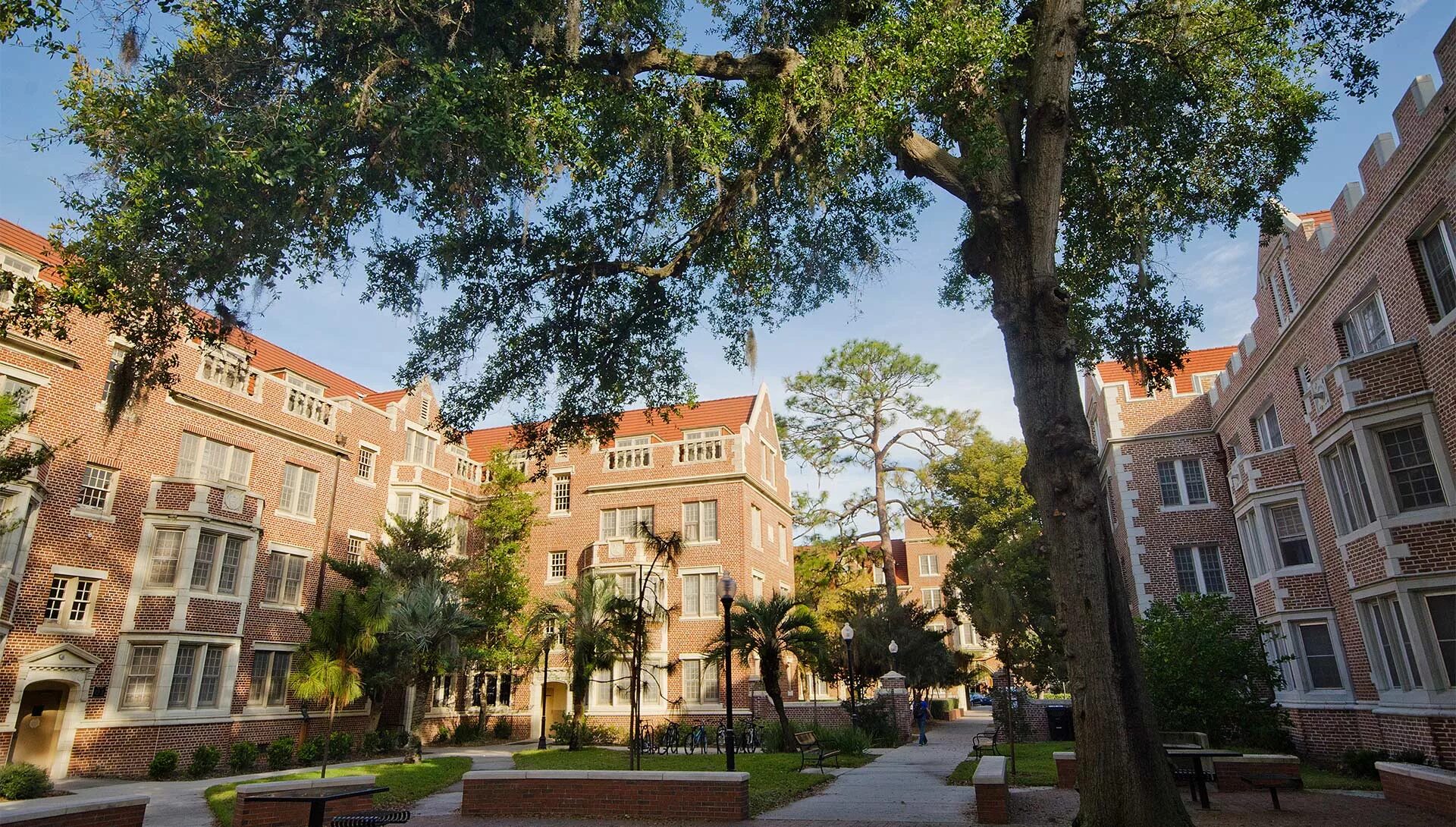 University of Florida, Gainesville. University of Florida ranking. University of Florida внутри. University of Florida Masters degree. University of florida