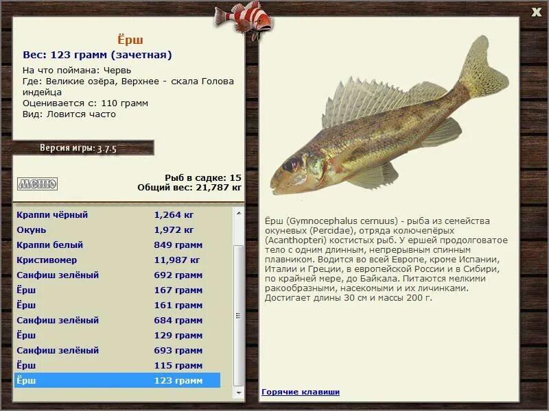 Морская рыба семейства окуневых. Семейство окуневых рыб. Хищная рыба окуневых. Судак рыба семейство. Подвиды судака.