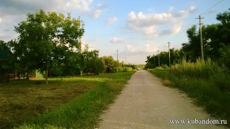 Абинский район краснодарского края ольгинский. Хутор Нечаевский Краснодарский край. Хутор Ольгинский Краснодарский край. Хутор Ольгинский Абинский район. Хутор Нечаевский Абинский район.