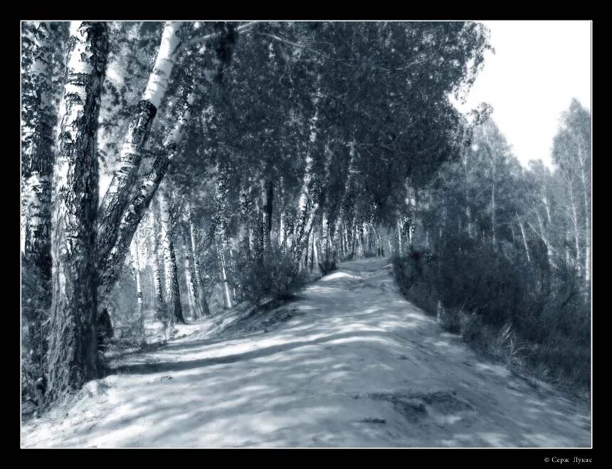 юрий арсенюк художник картины. лютый мороз. юрий арсенюк натюрморты. кукольный театр йошкар0ола. нежность перо.