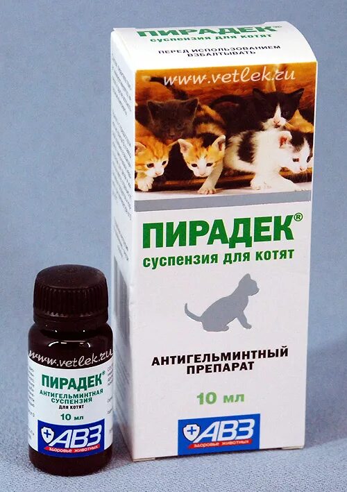 Глистогонить беременную кошку
