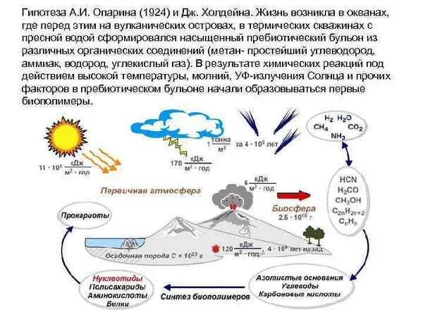 Этапы жизни по опарину. Теория Опарина Холдейна этапы. Биохимическая гипотеза Опарина Холдейна кратко. Гипотеза f b Опарина. Теория биохимической эволюции Опарина Холдейна.