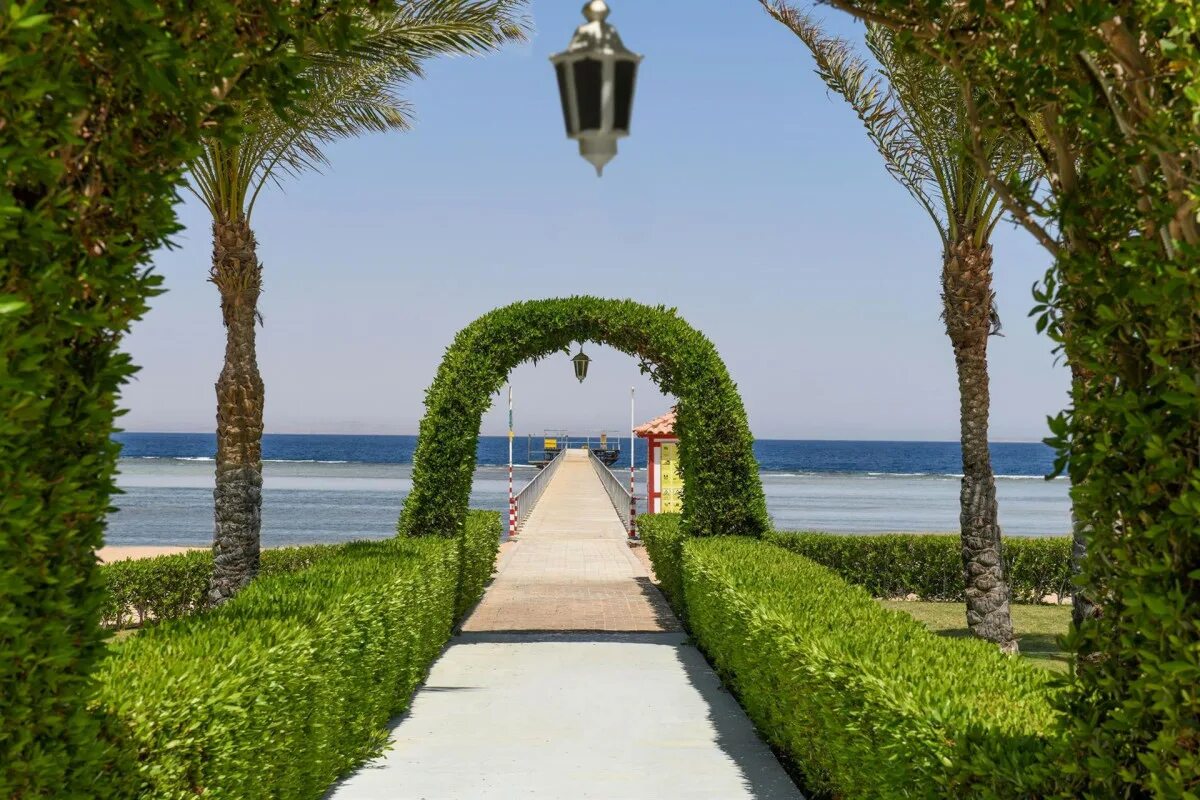 Magic world 5. Отель Club Magic Life Sharm el Sheikh Imperial 5. Мэджик ворлд Шарм Египет Шарм-Эль-Шейх. Отели Египта маджик ворлд. TUI Magic Life Sharm el Sheikh 5.