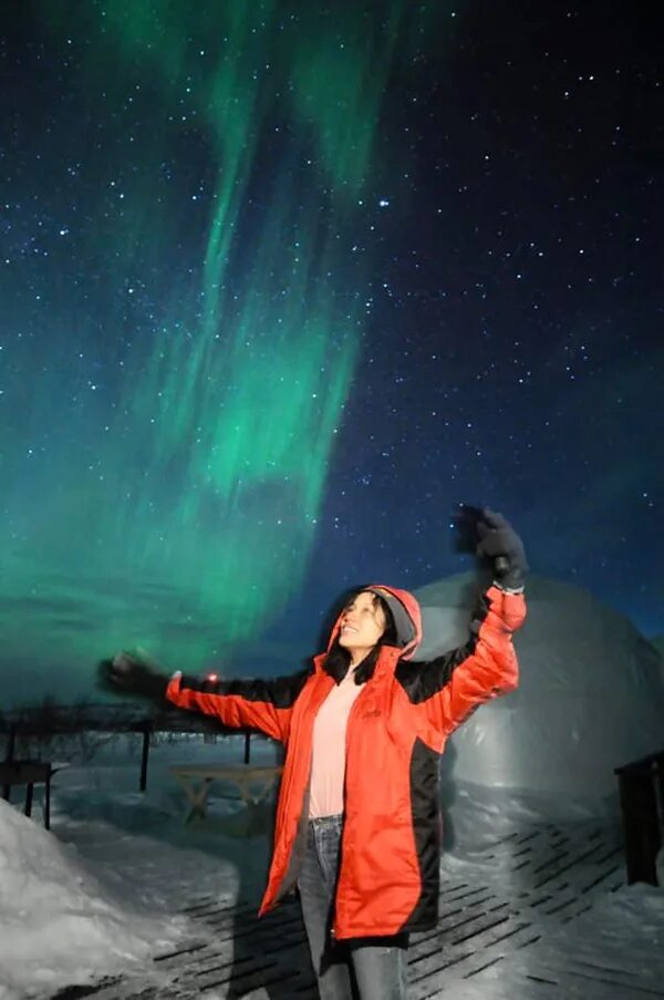 Парк нагатинская пойма. Зимняя фотосессия. Новый парк в москве остров мечты. Остров мечты как одеваться зимой. Новый сбор в геленджике.