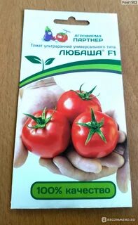 Томат любаша f1 характеристика и отзывы
