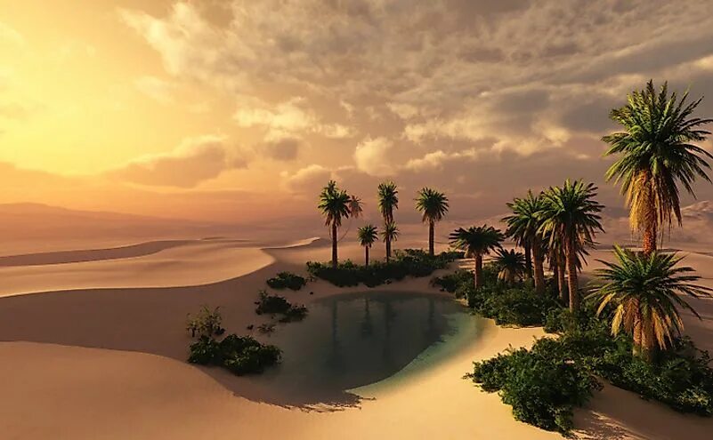 Оазис мир где. Оазис в пустыне Геншин. Красивый Оазис в пустыне. Фотообои Оазис в пустыне. Водоем в пустыне.