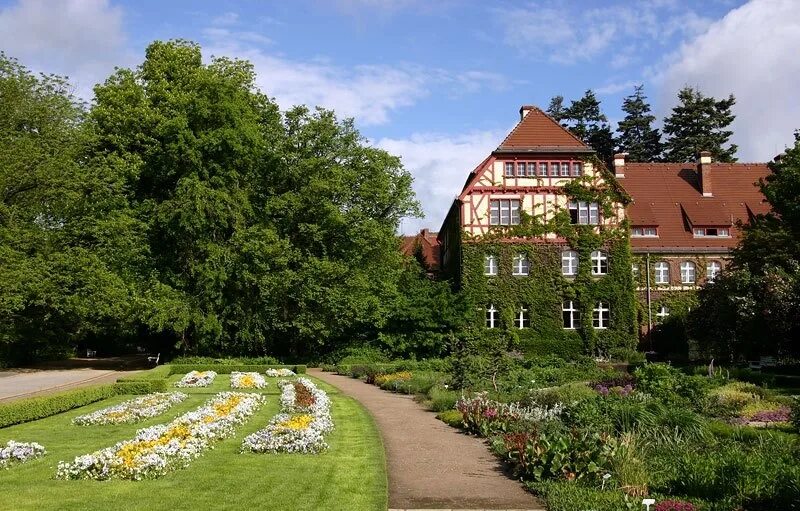 Английский сад в мюнхене. Английский сад в мюнхене. Гроссер гартен. Langzeitdunger balkon garten und zimmer купить. Ботанический сад германия.