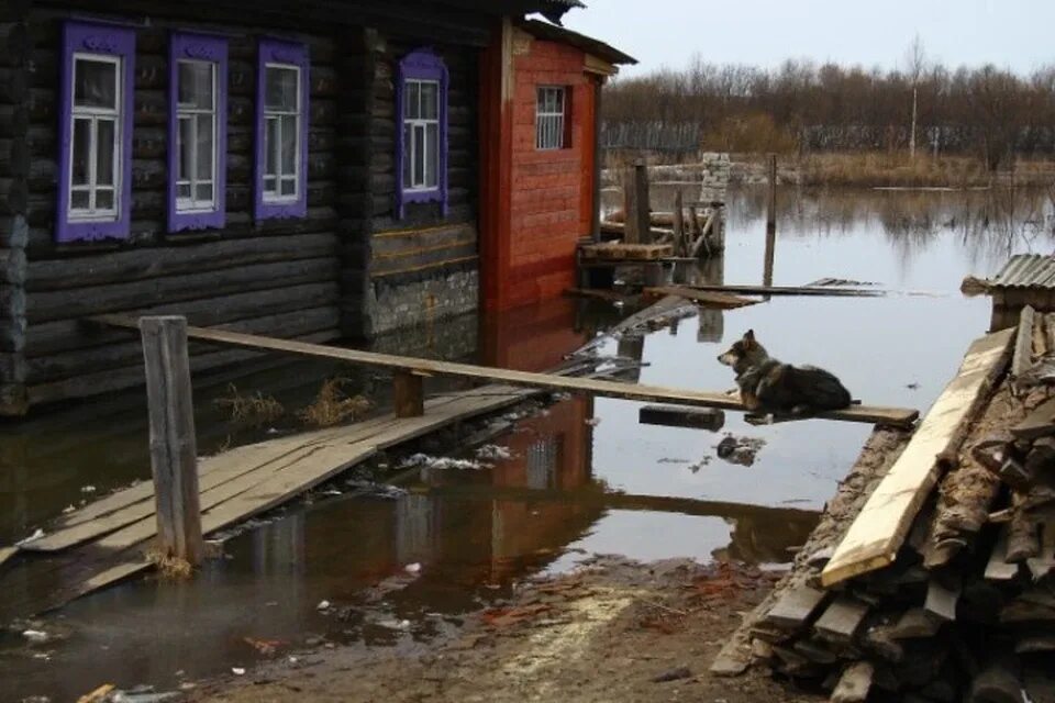 Два затопленных дома. Половодье в деревне. Подтопление домов. Весеннее половодье. Паводок в деревне.