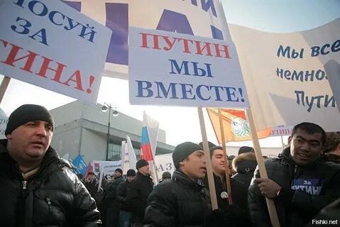Лдпр запрет мигрантов голосование
