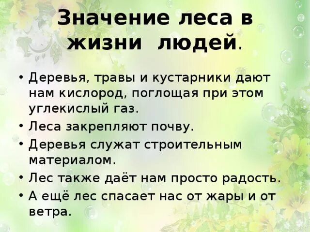 Какова роль леса в жизни человека. Лес в жизни человека. Ролт Леа в жизи челоека. Роль леса в жизни человека. Значение леса в жизни человека.