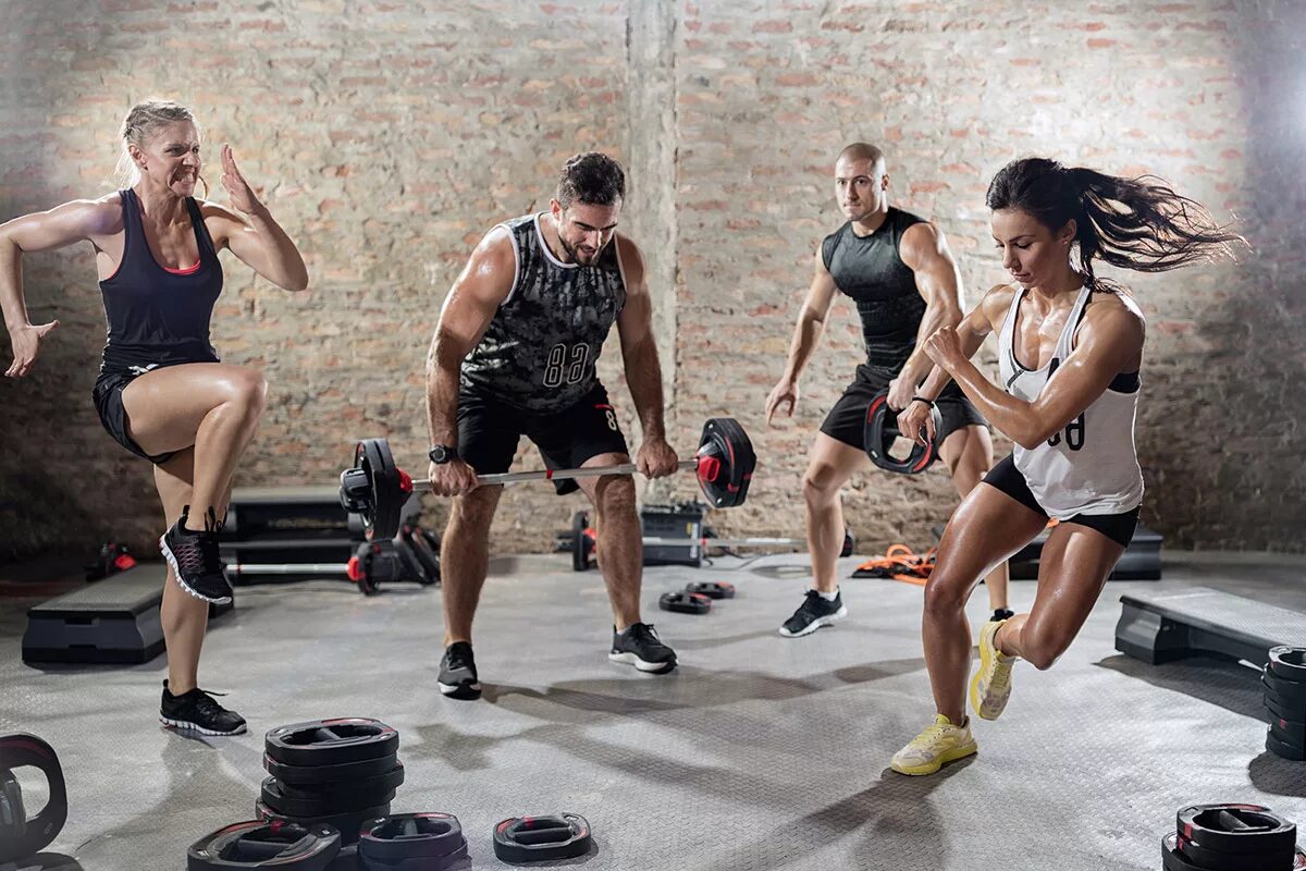 Fit group