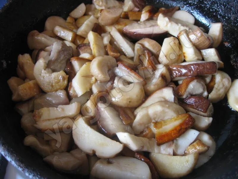 жареные шампиньоны консистенция. жареные шампиньоны на сковороде. шампиньоны на сковороде. жареные шампиньоны на сковороде. грибы для жарки.