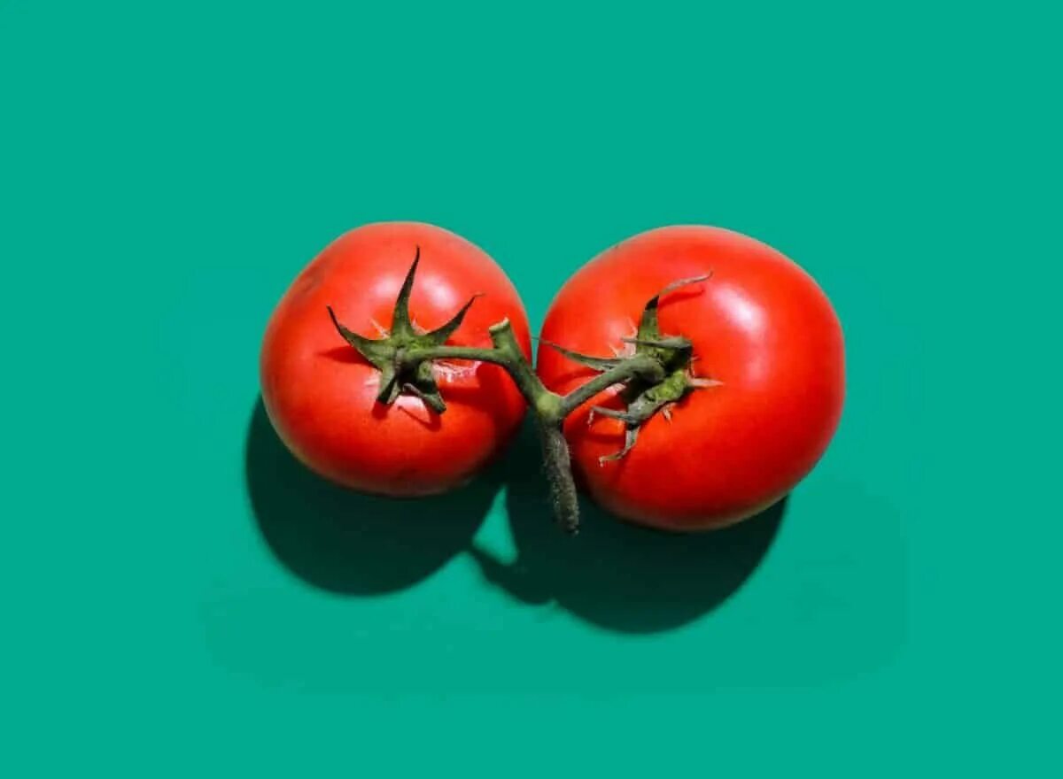 These are tomatoes. Помидоры. Ядовитые помидоры. Помидоры в кожуре название. Томат 360.