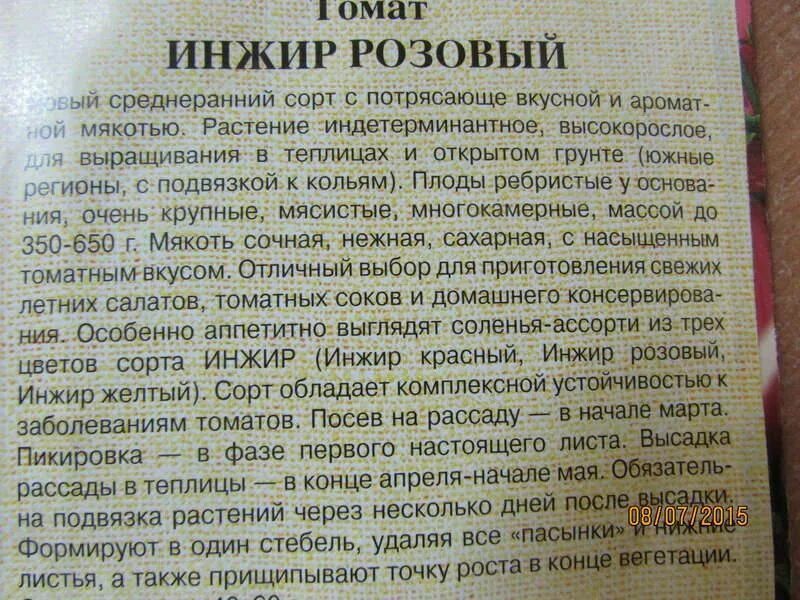 Томат инжир розовый характеристика и описание. Розовые помидоры сорта. Томат инжир розовый характеристика и описание. Инжир розовый томат описание. Помидоры сорт инжир.