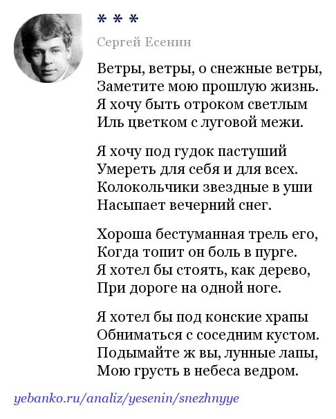 Стихотворение Есенина ветер ветер. Есенин стихотворение ветер.