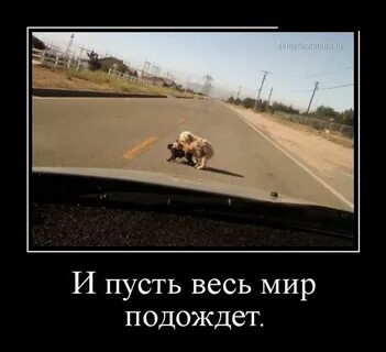 И весь мир подождет откуда