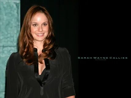 Sarah Wayne Callies Photos. 