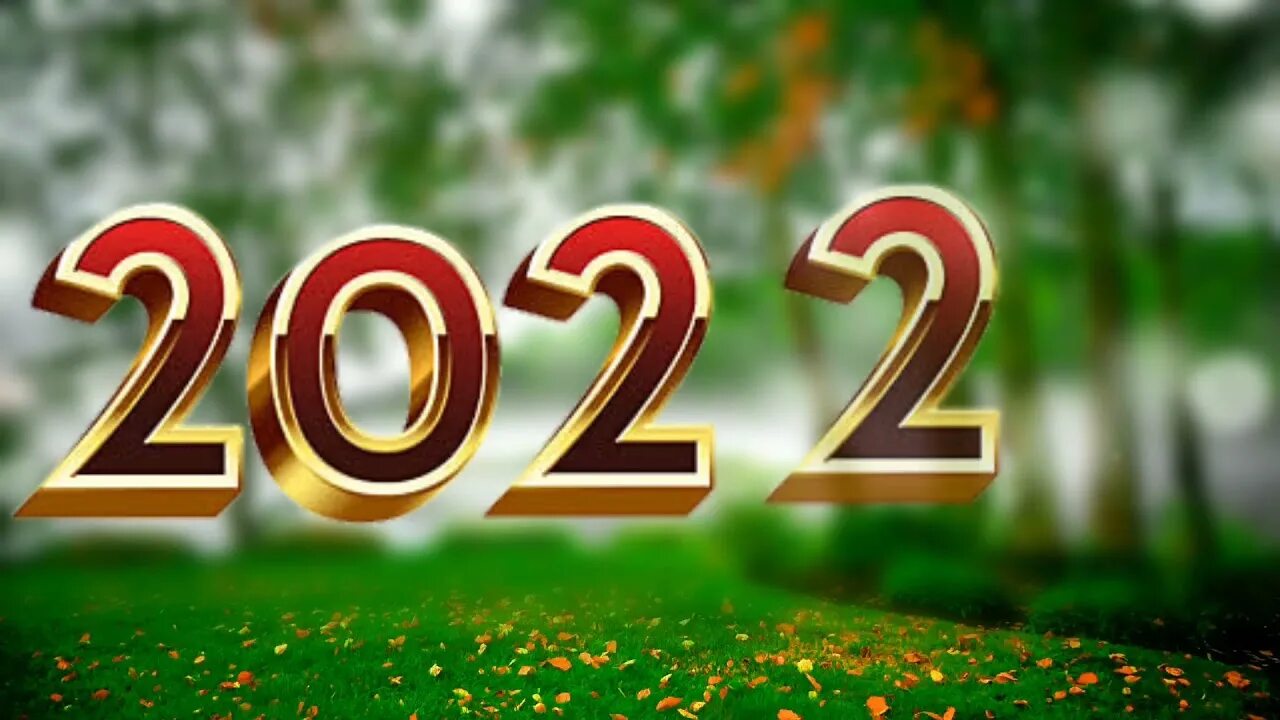 6 октября 2022 год. 2022 Год. 2022 Год надпись зелёная. Год 2022 был особым картинки. SEO В 2022 году.